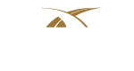 Connex Travel Logo